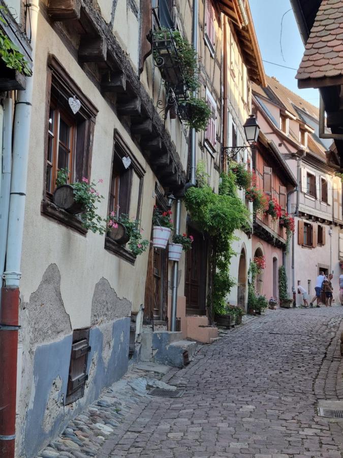 L'Ourson Colmar Exterior foto